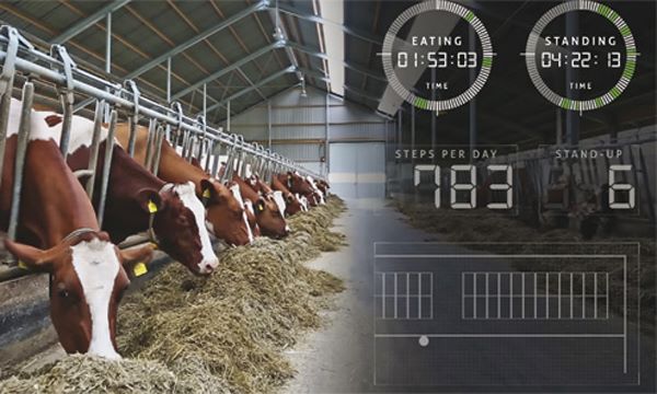 RealTime SmartTag