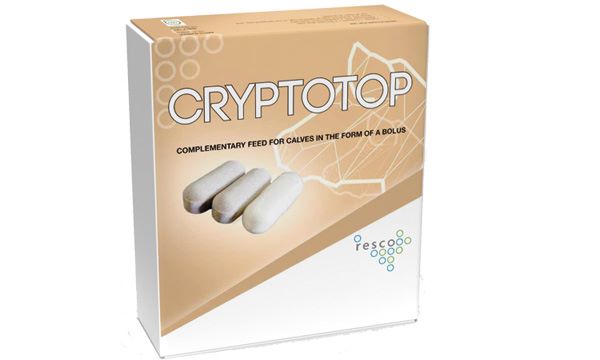 Cryptotop bólusz